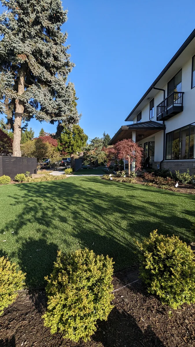 backyard putting green
