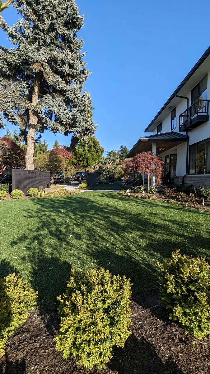 backyard putting green