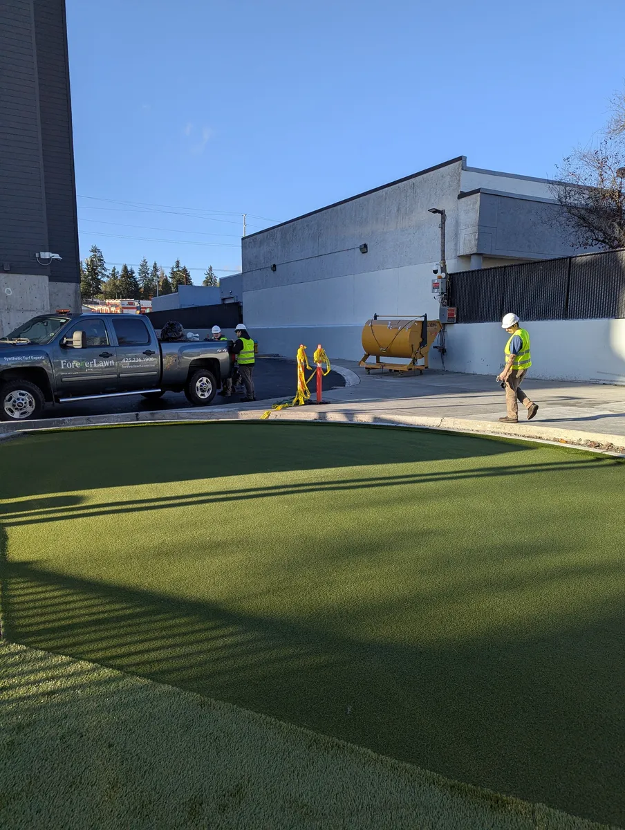 Backyard putting greens
