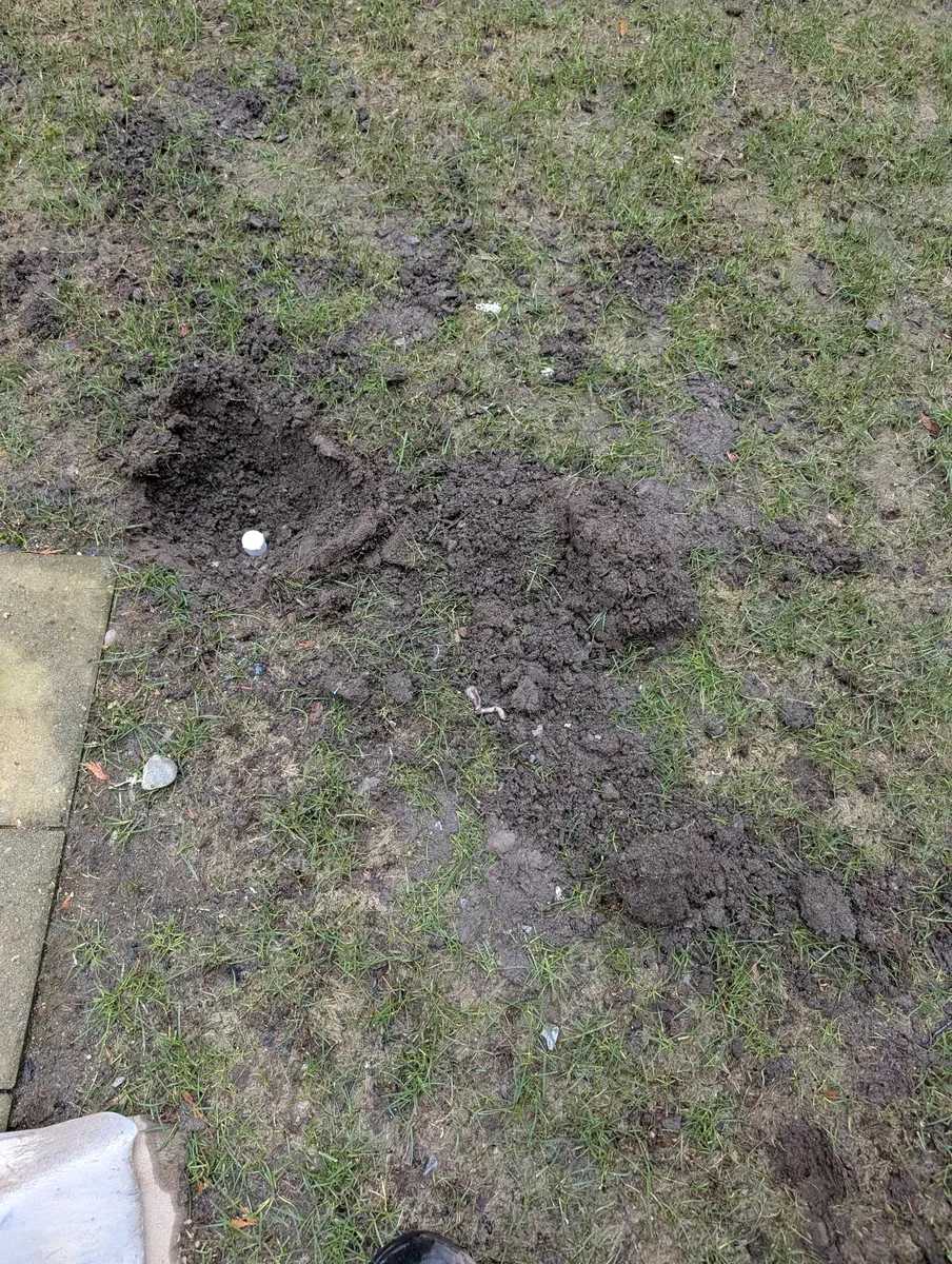 eco-friendly synthetic grass