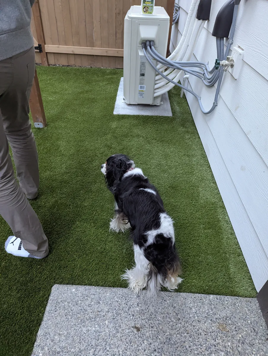 Featured image for “Pet-Friendly Synthetic Turf: Durable Solution for Dog Owners”