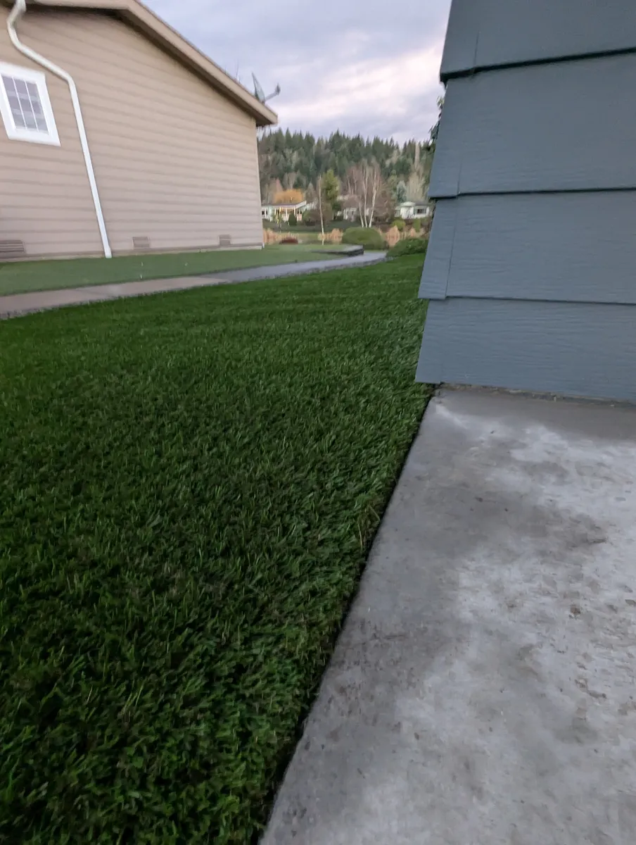 synthetic grass