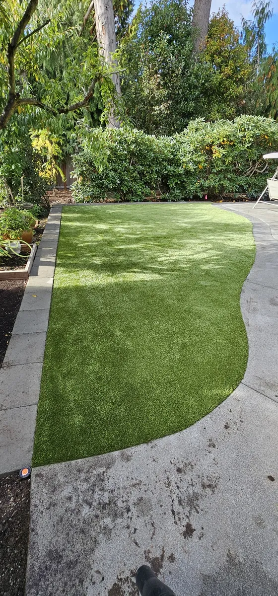 K9Grass