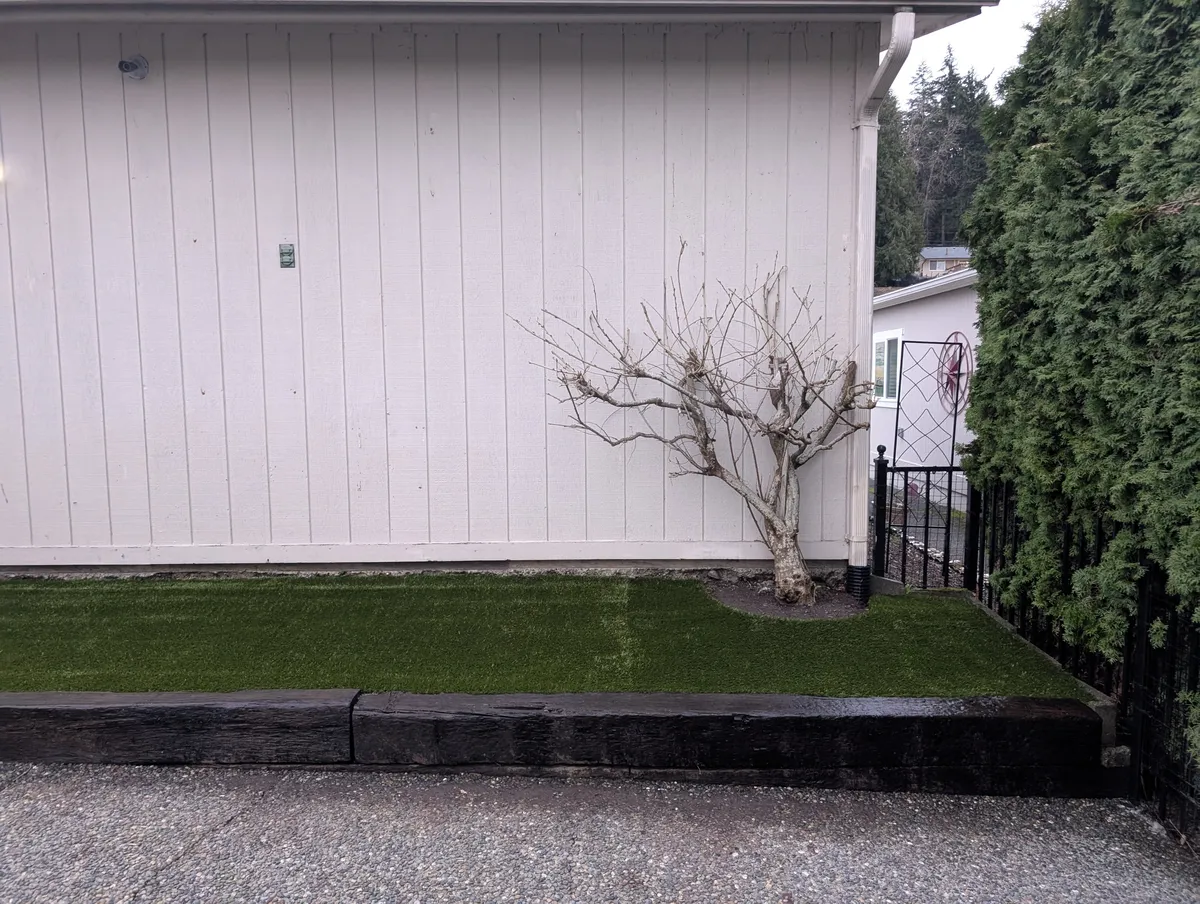 artificial grass for dogs