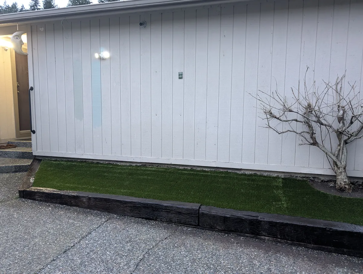 artificial grass for dogs