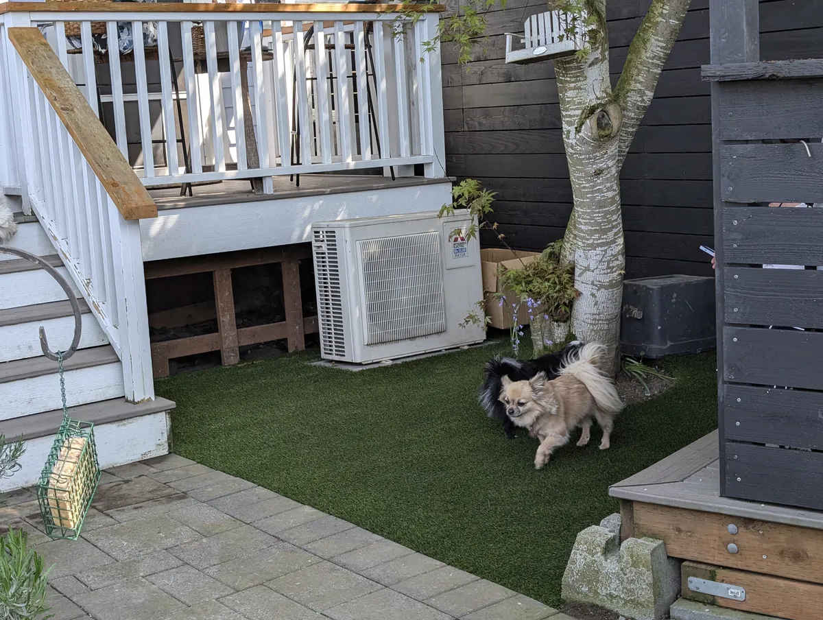 Featured image for “K9Grass Elite: Transforming Everett Dog Owners’ Outdoor Spaces”
