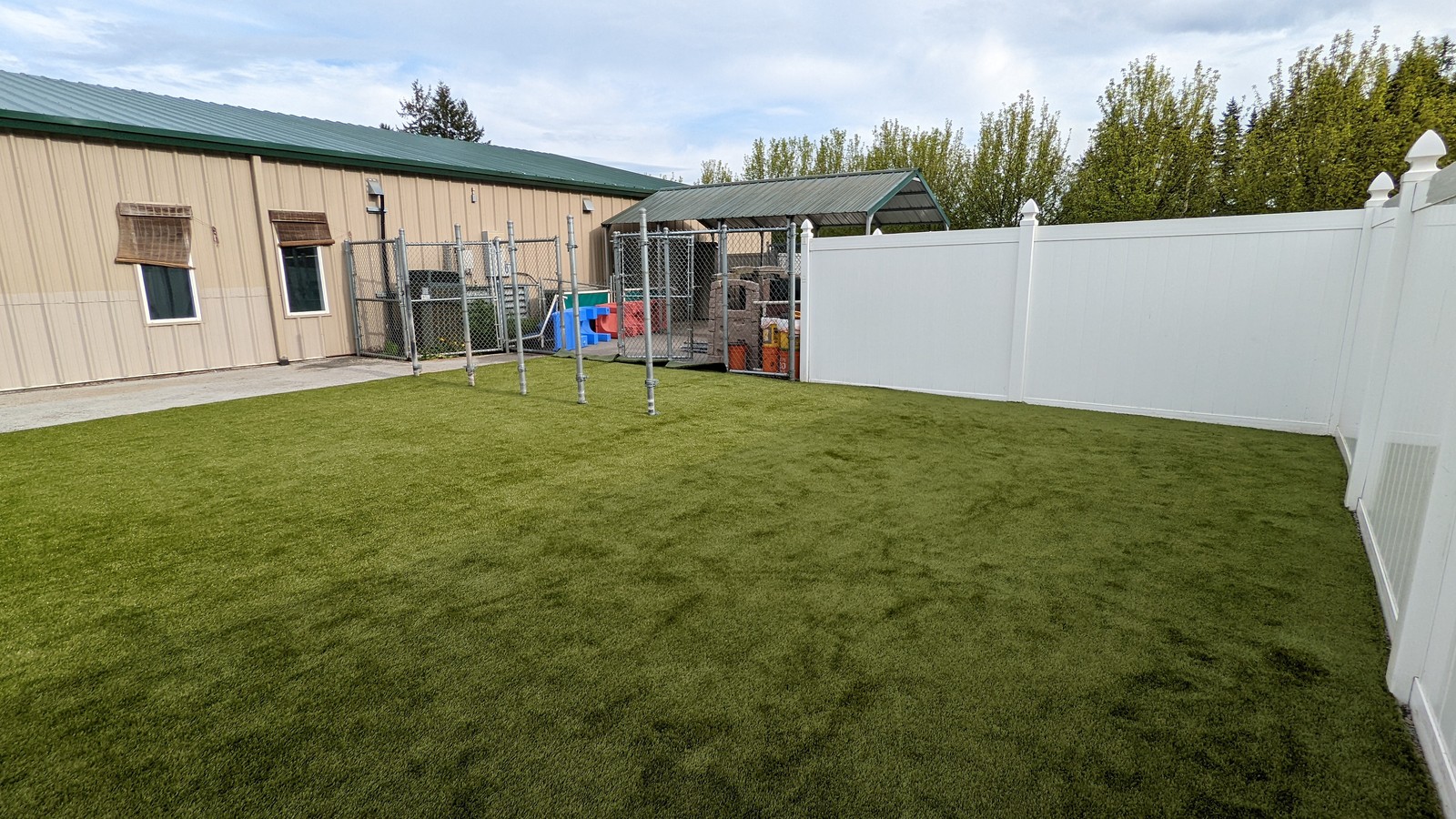 turf for dogs