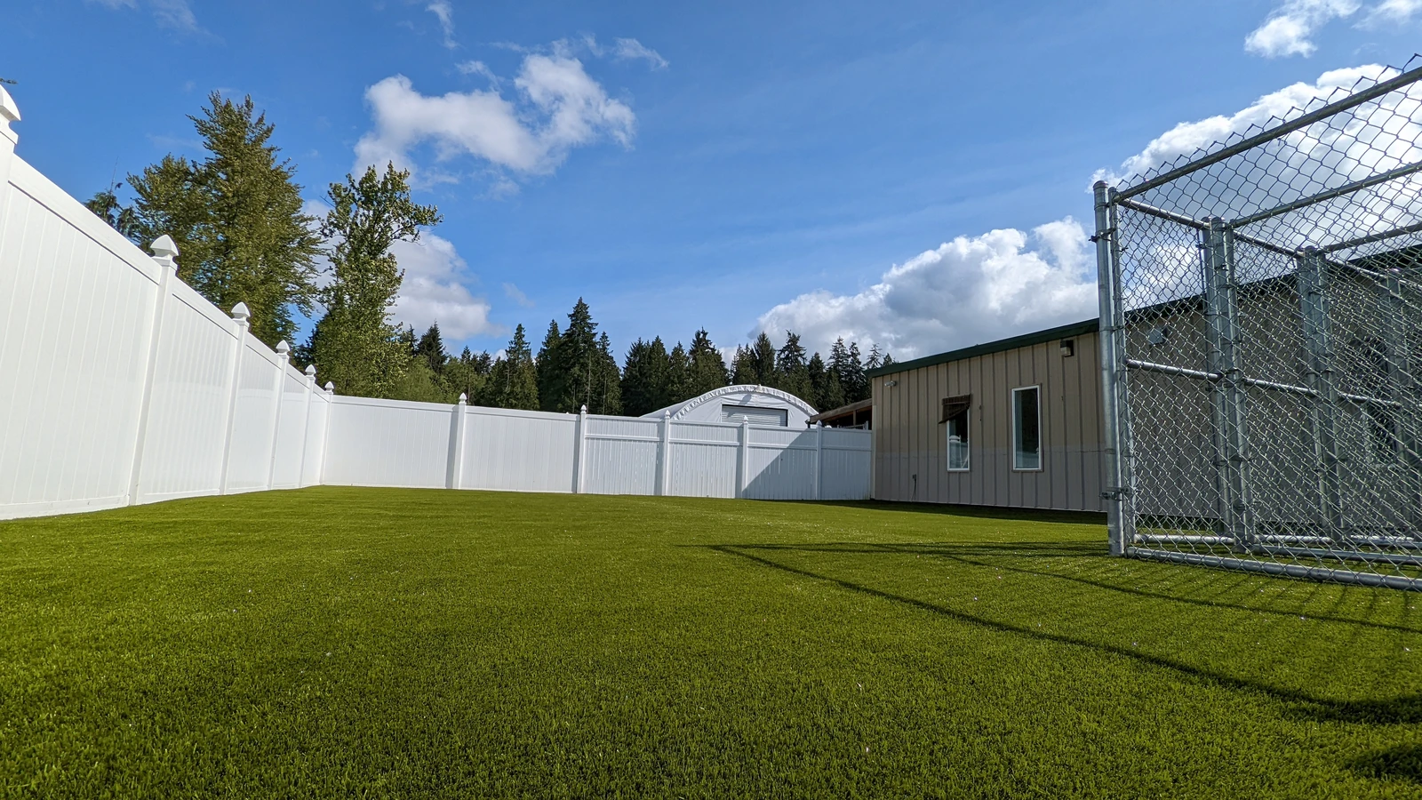 Featured image for “K9Grass Classic+ Installation Transforms Doggie Haven Bothell”