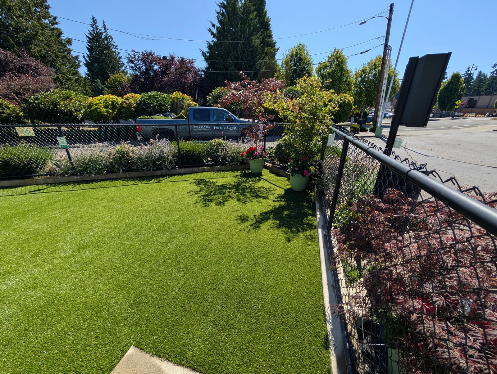 Featured image for “K9Grass Elite Installation at BARC Animal Hospital”