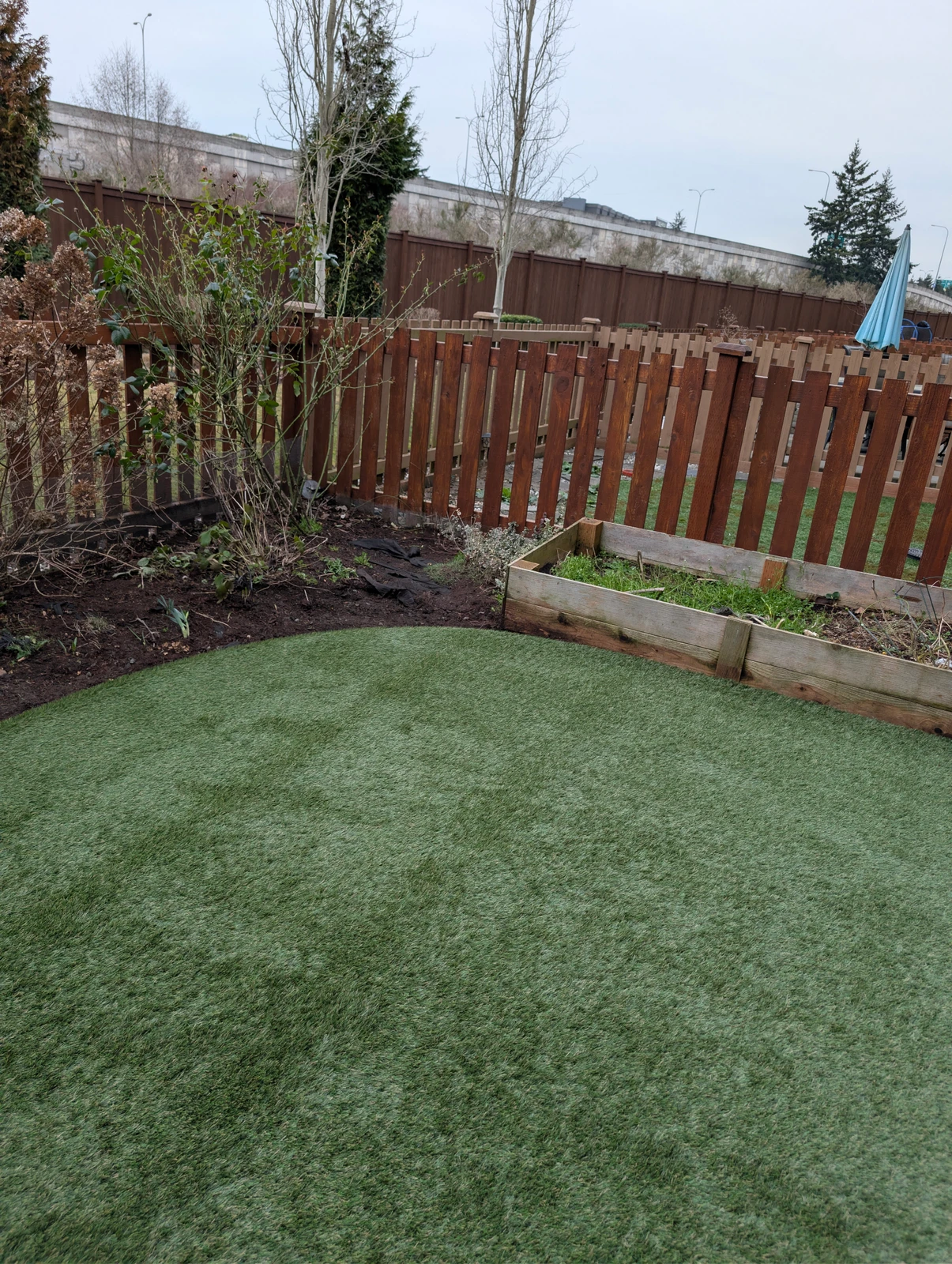 K9Grass Elite pet turf installed in fenced Everett WA backyard with raised garden bed and curved planting border.