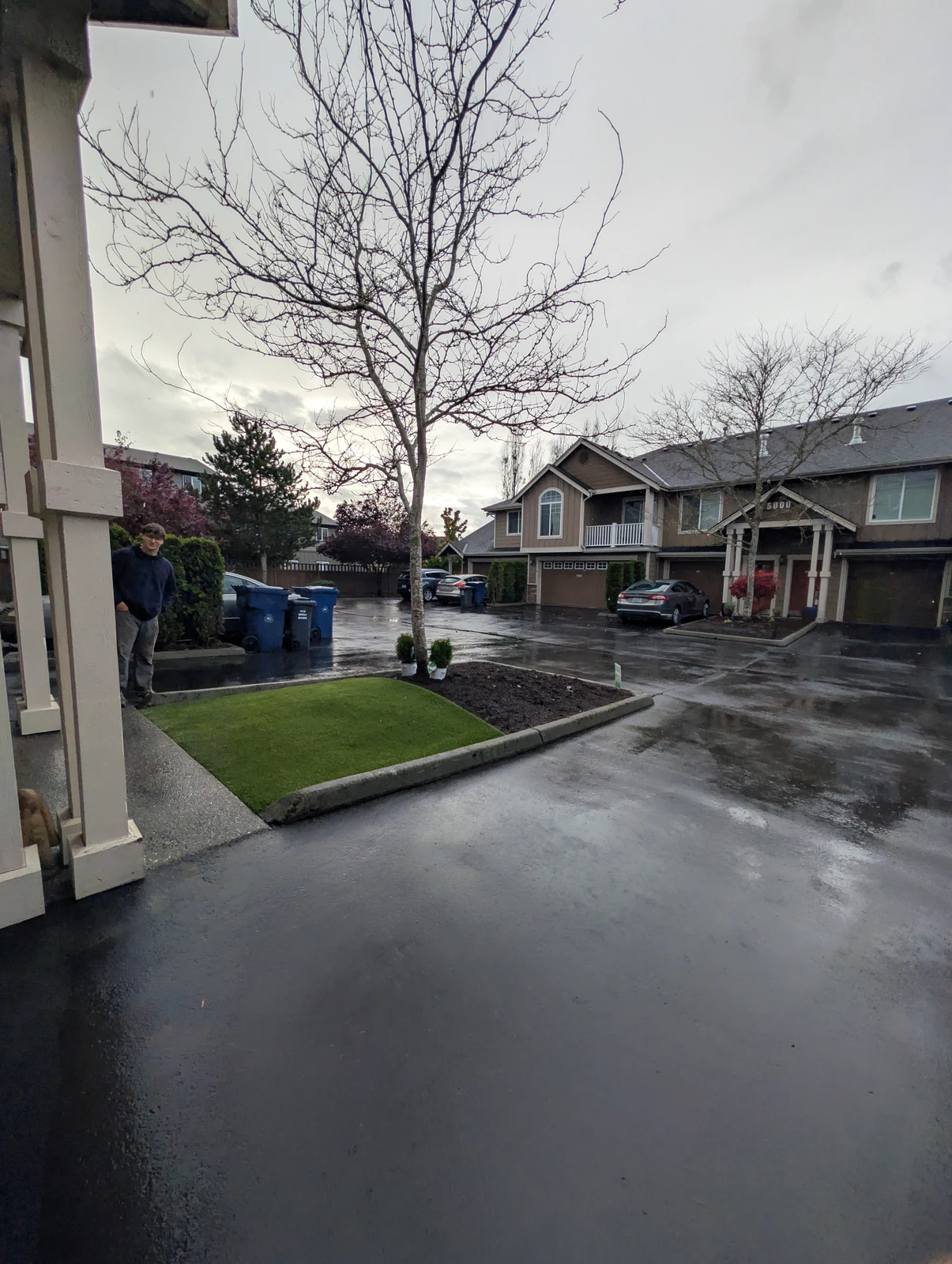 K9Grass Elite pet turf patch installed in shared driveway median, Marysville WA townhome complex, rainy day
